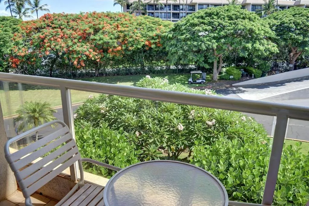 Spacious Condo Across The Street From Maui'S Best Beaches Mbg304 Wailea  Holiday home
