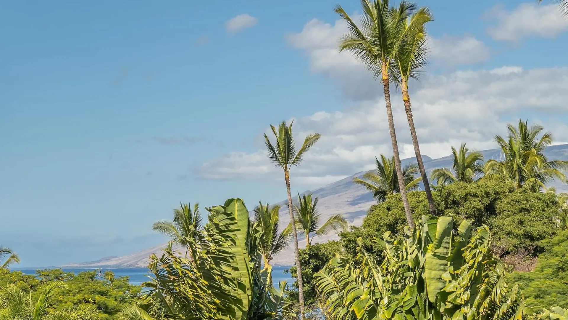 Spacious Condo Across The Street From Maui'S Best Beaches Mbg304 Wailea  0*, Wailea (Maui)
